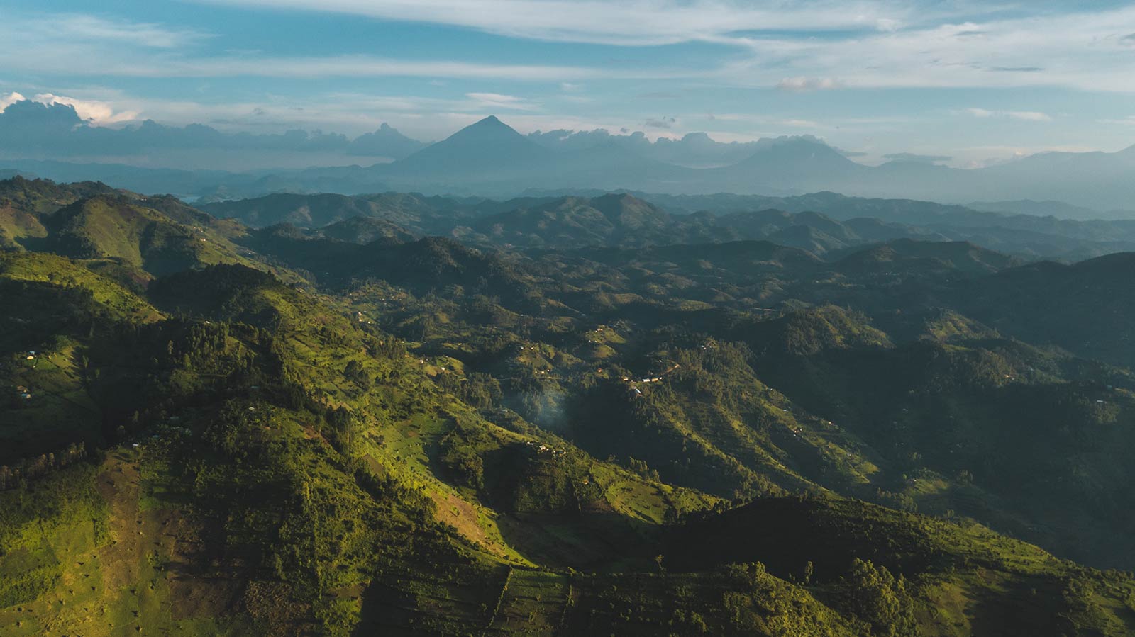 Bwindi Impenetrable National Park