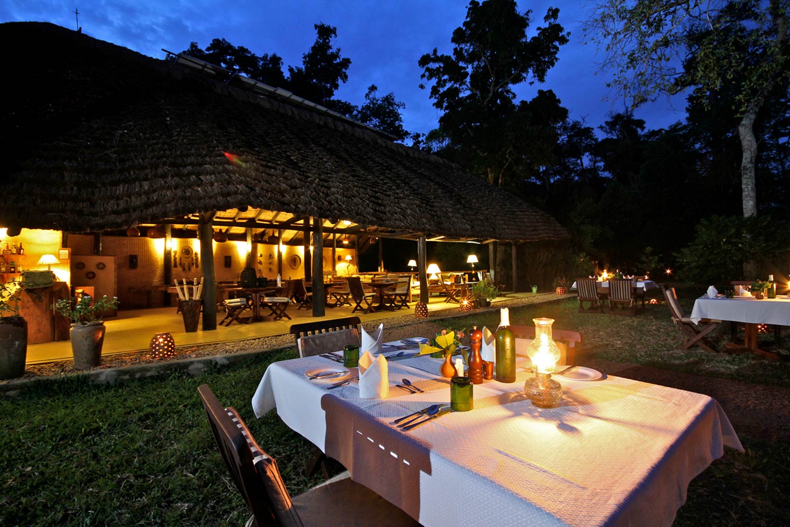 Ishasha Wilderness Camp Queen Elizabeth National Park