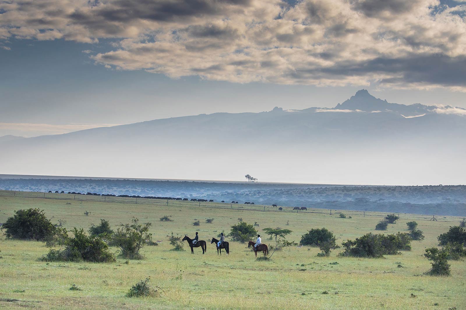 Mount Kenya and the Aberdares_The-Safari-Collection_Solio-Lodge-copyright-Scott-Ramsay