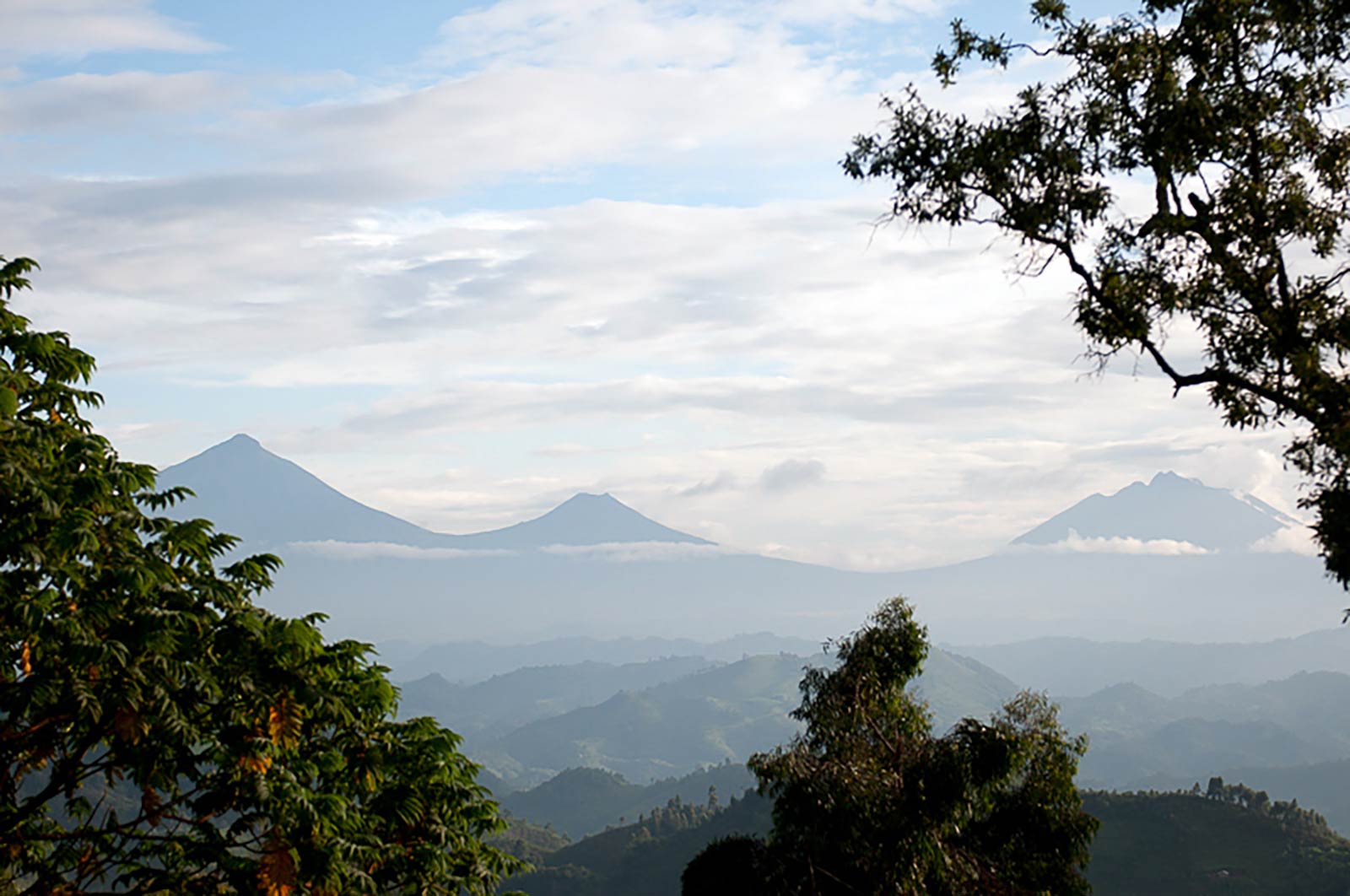 Mgahinga National Park