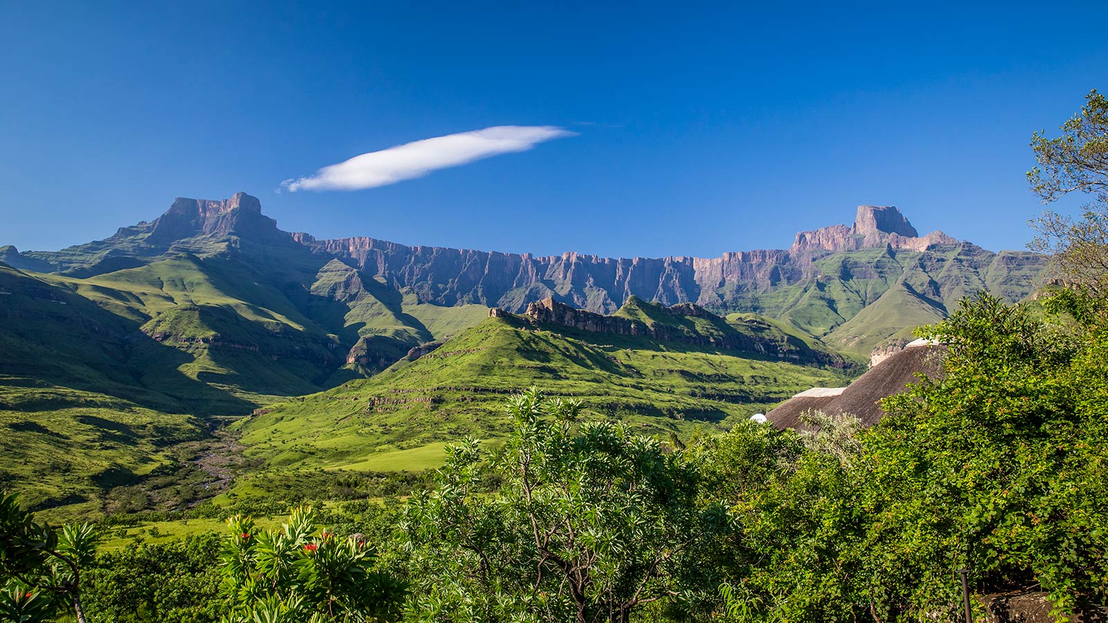 South_Africa_-_Drakensberg_(16261357780)