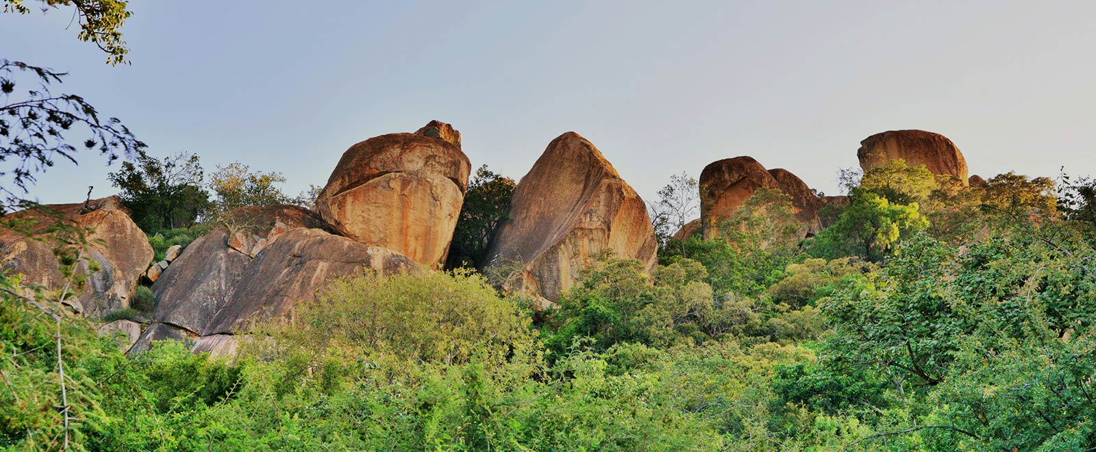 Matobo National Park Zimbabwe rhino