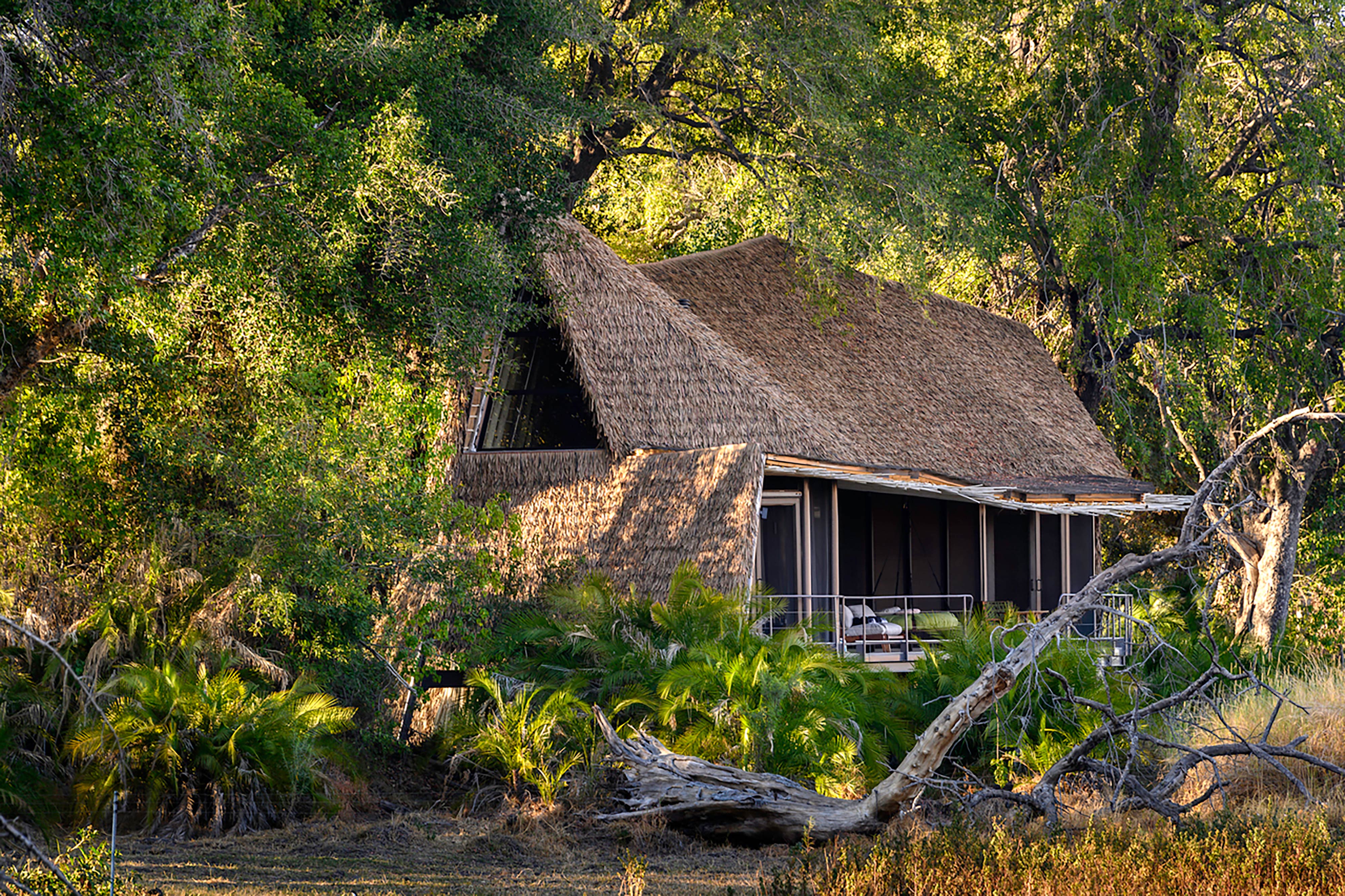 Jao Camp Wilderness Safaris