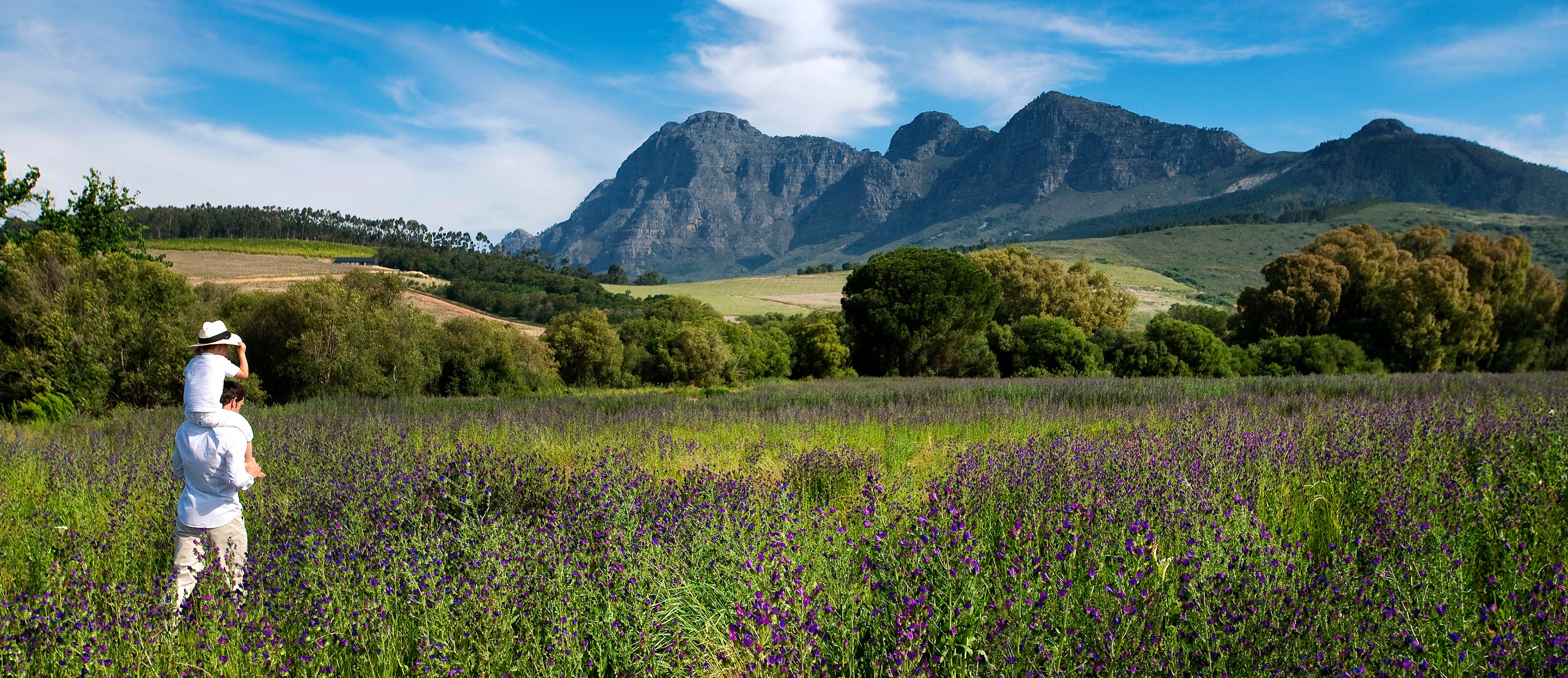 Babylonstoren winelands south africa
