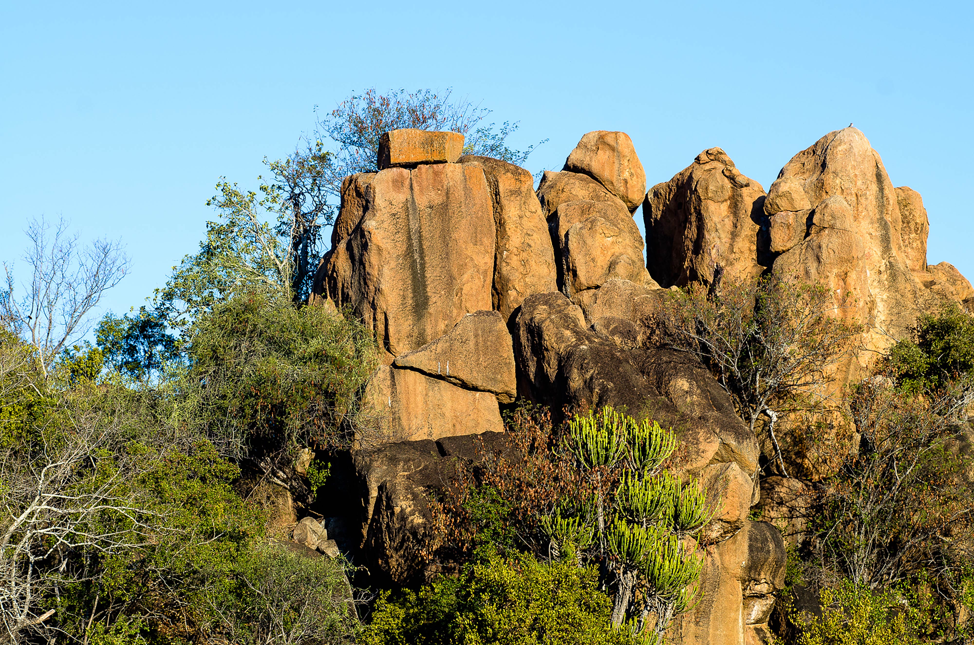 Singita Sweni Lodge
