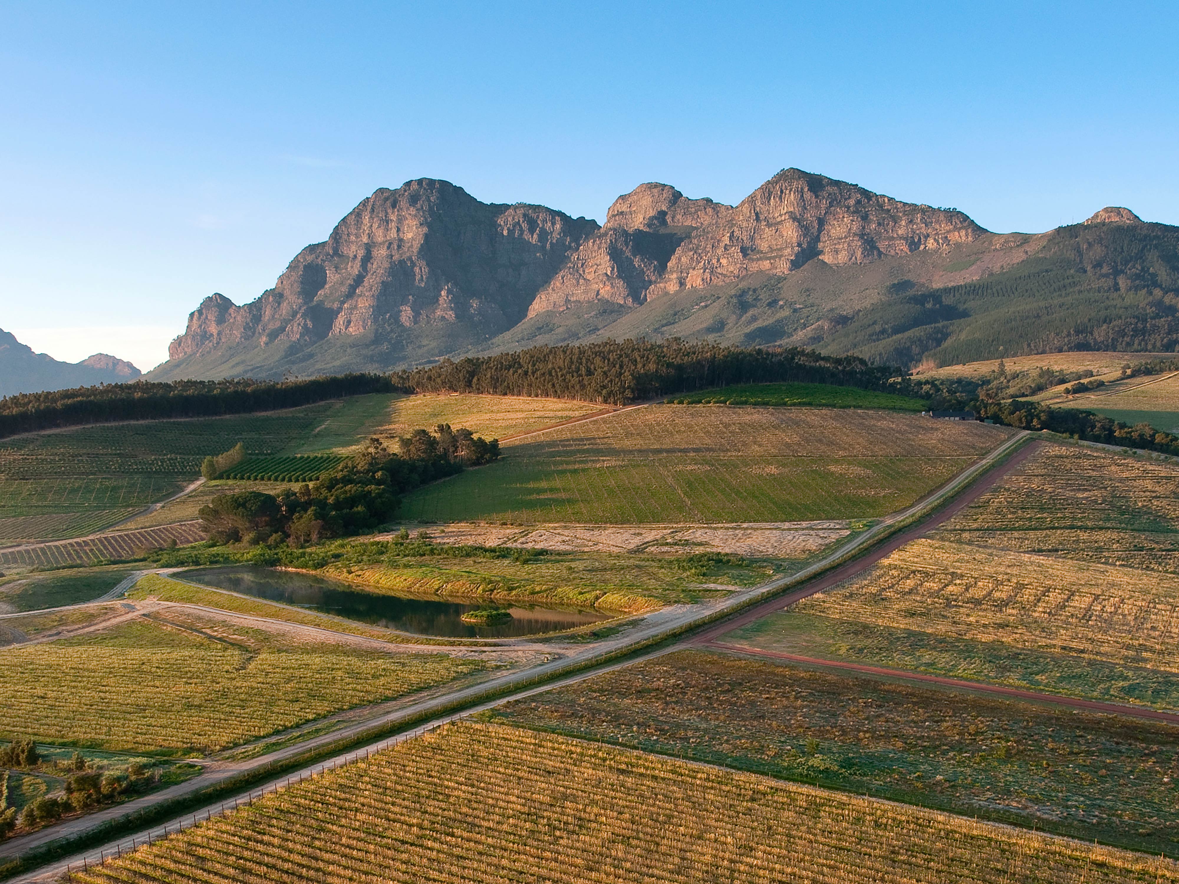Babylonstoren winelands south africa
