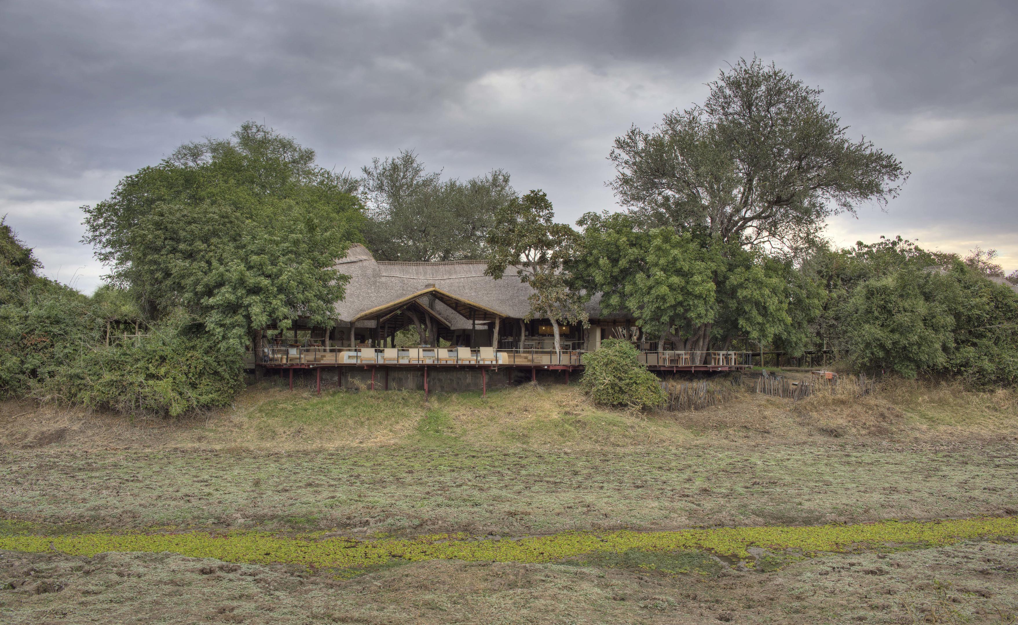 Lion Camp