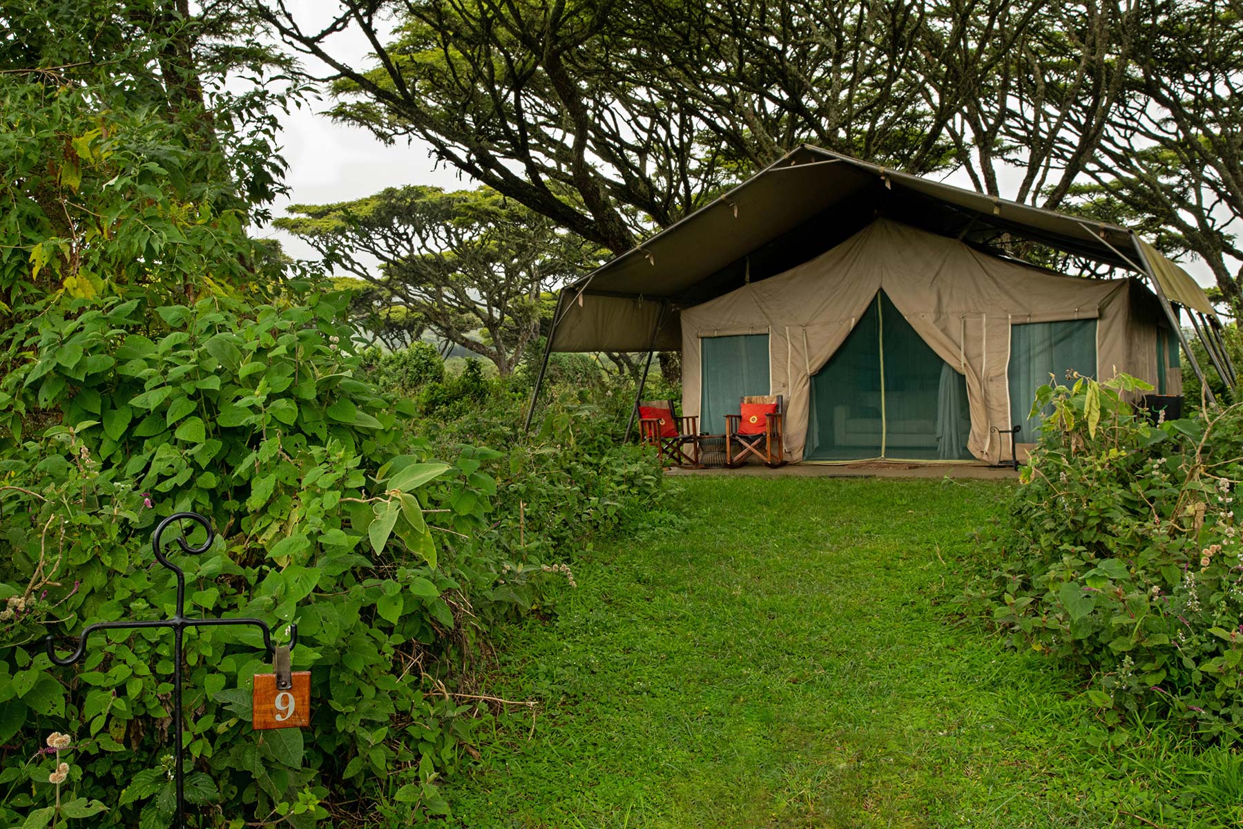 Lemala Ngorongoro Tented Camp